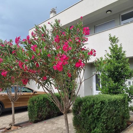Apartmani Jozic سيلين المظهر الخارجي الصورة