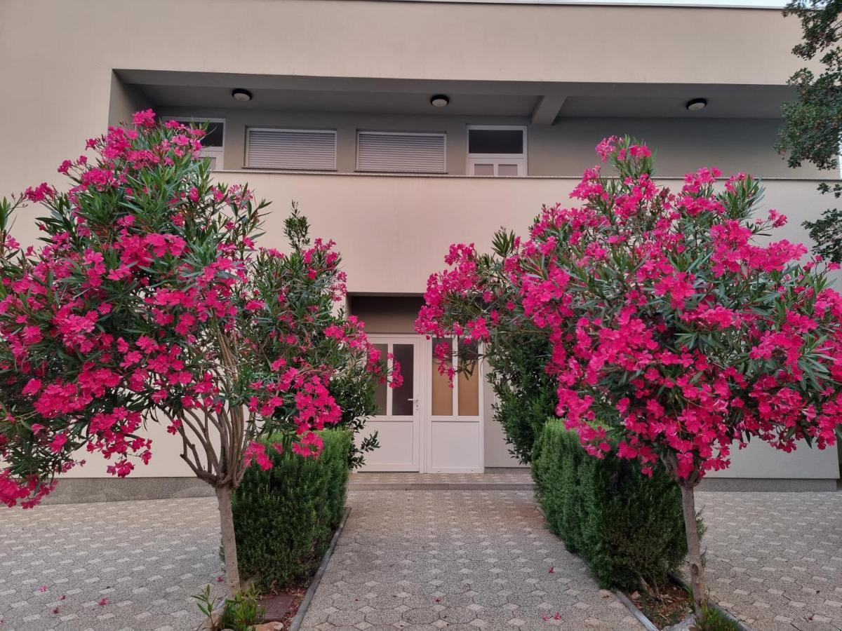 Apartmani Jozic سيلين المظهر الخارجي الصورة